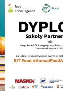 dyplom szkoły partnerskiej